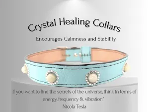 Anxiety & Stress Support - Healing Crystal Collars - Tiffany blue w/ Moonstones AS102