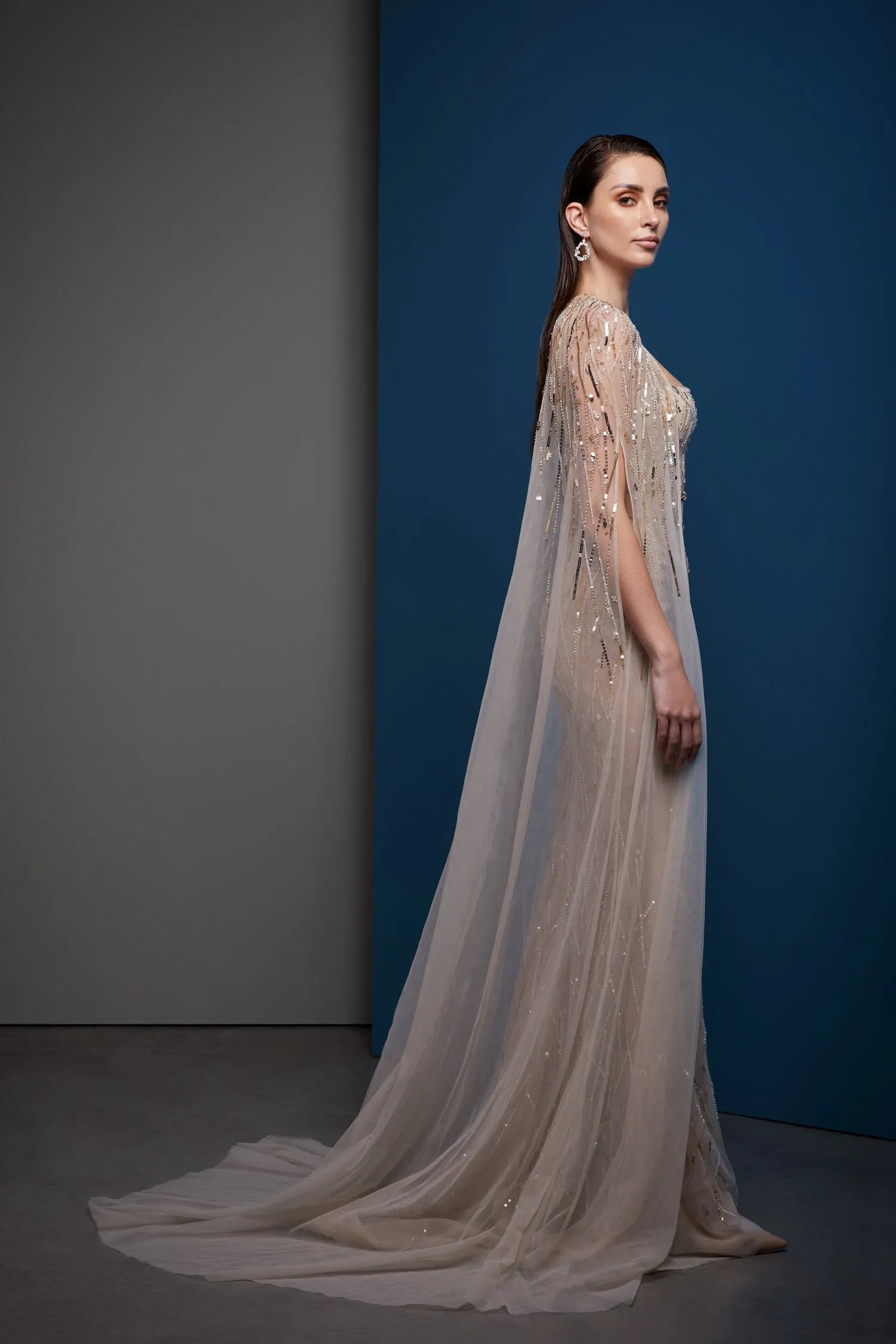 Cape Sleeve Sequenced Gown Online UAE