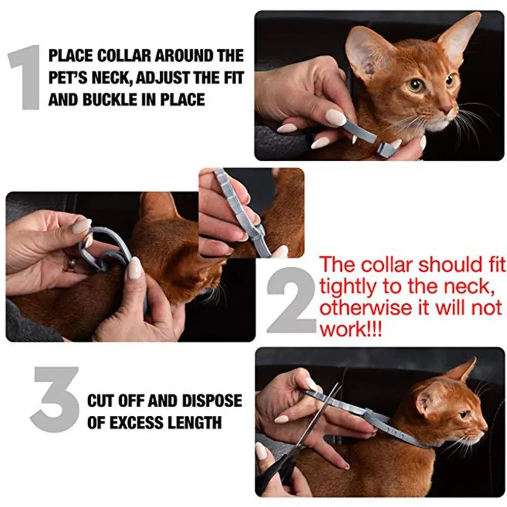 Pet Flea and Tick Collar for Cats - Up to 8 Months Protection