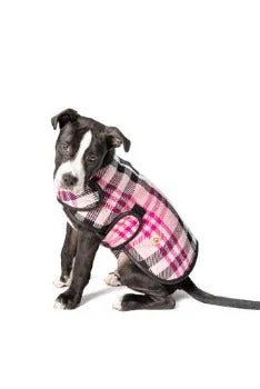 Pink Plaid Blanket Coat