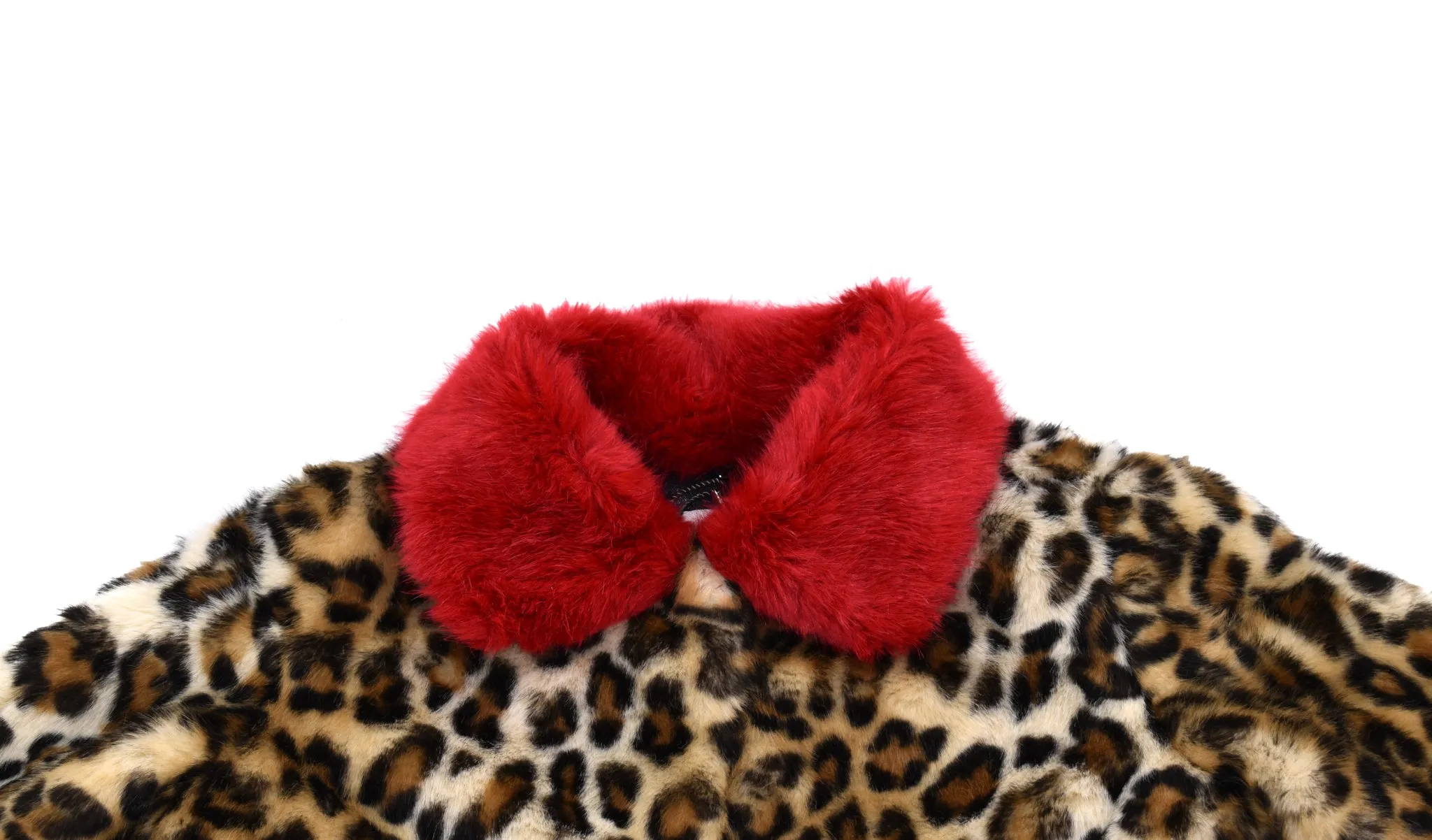 Wild & Gorgeous, Girls Coat, 4 Years